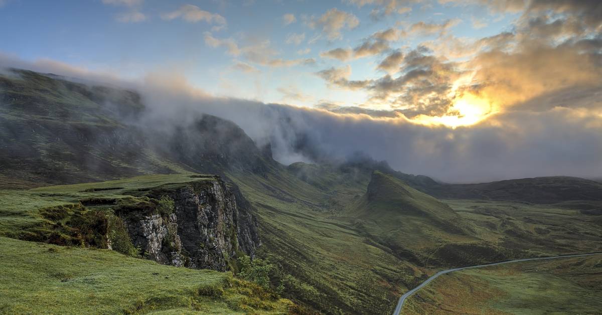 Zahradnictví Marriesmascaras